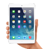Apple I pad mini wifi-16G