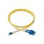 Picture of Schneider ACTFP2CL1S19S30 Ethernet Patch Cable