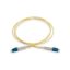 Picture of SCHNEIDER ACTFP2L1S19S10 Fibre optic patch cord, Actassi, OS2, LC-LC, duplex, LSZH, 1 m - Cable
