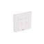 صورة LEGRAND Straight faceplate 2 ports for keystone RJ45 connector ( 632795 ) - Network Accessories