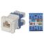 Picture of FACE-MODU-RJ45 CAT6 RJ45 Punch Down Keystone Jack