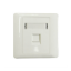 Picture of Extreme Tech EXTFP-LGM01 Face Recognition Network Keystone Jack