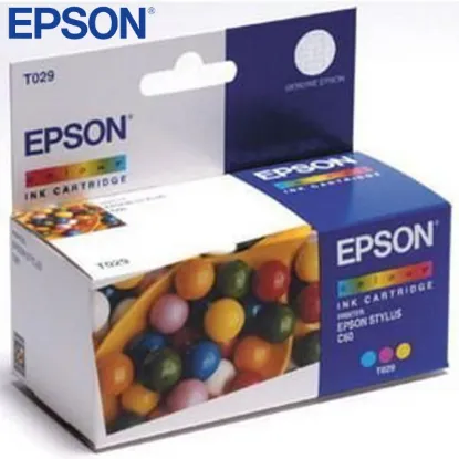 Epson T029 Color Original Ink Cartridge