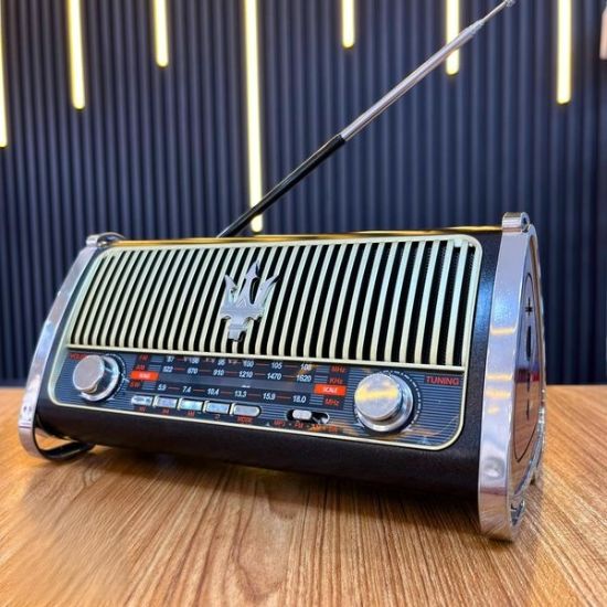 Picture of Solar Radio Speaker