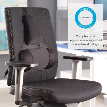 Picture of Fellowes Professional Series Ultimate Back Support - 3 Memory Foam Sections with Microban Protection, Black